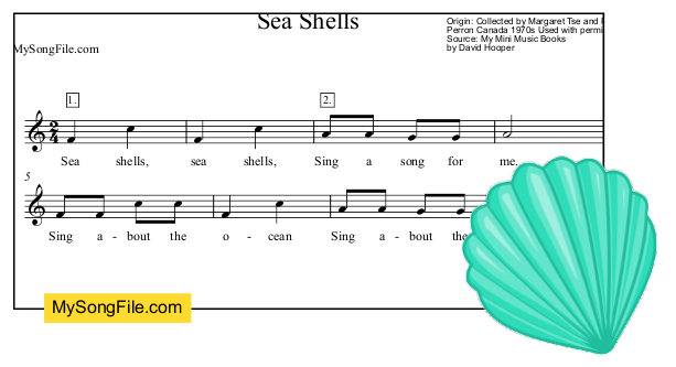 Sea Shells